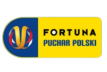 波兰杯比赛图标