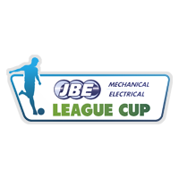 北爱女杯比赛图标